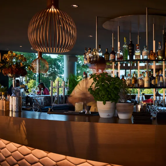 Bar area