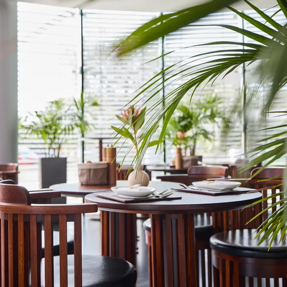 Carpe Diem Lounge – Café