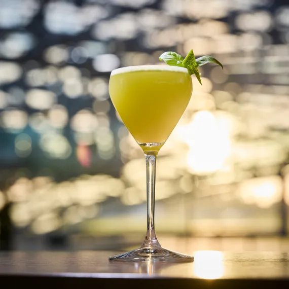 Drink