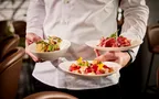 Bar food dishes 