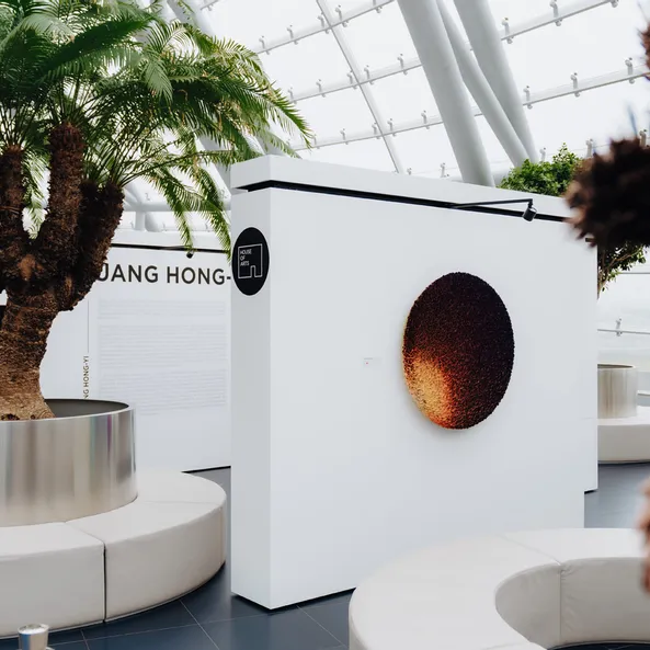 Art exhibition at Red Bull Hangar-7, architecture, painting