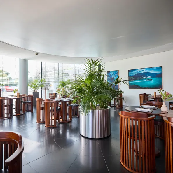 Carpe Diem Lounge – Café